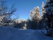 Christmas2010 173